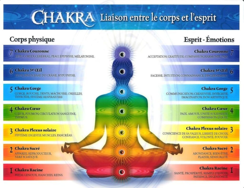 Schéma points énergétiques principaux